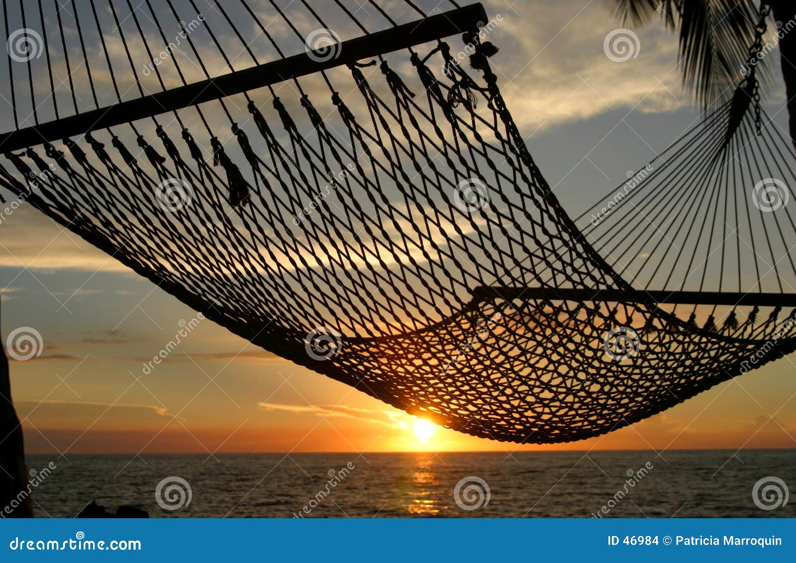 Hammock Sunset stock photo. Image of palm, landscape, peace 46984