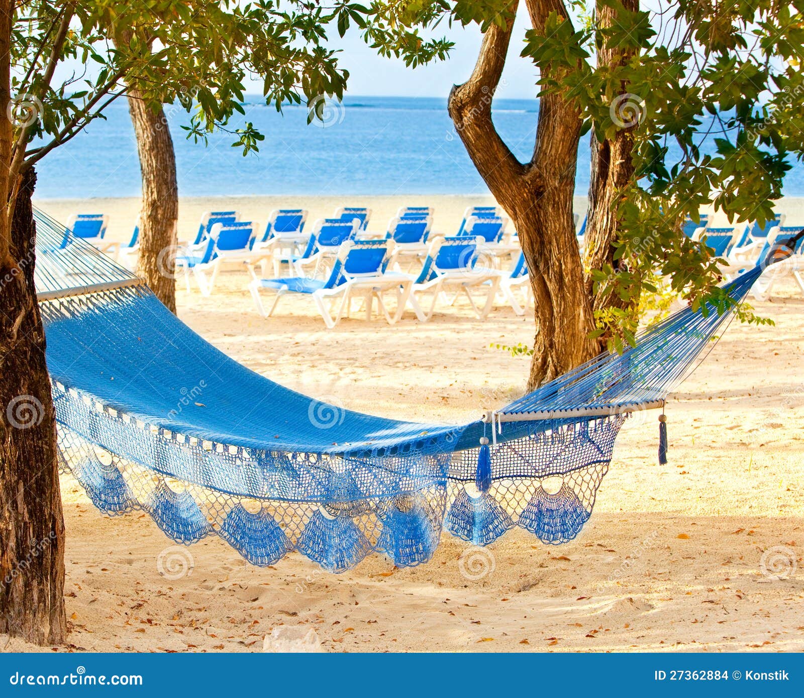 Hammock between Trees and the Sea Stock Photo Image of sunny, summer