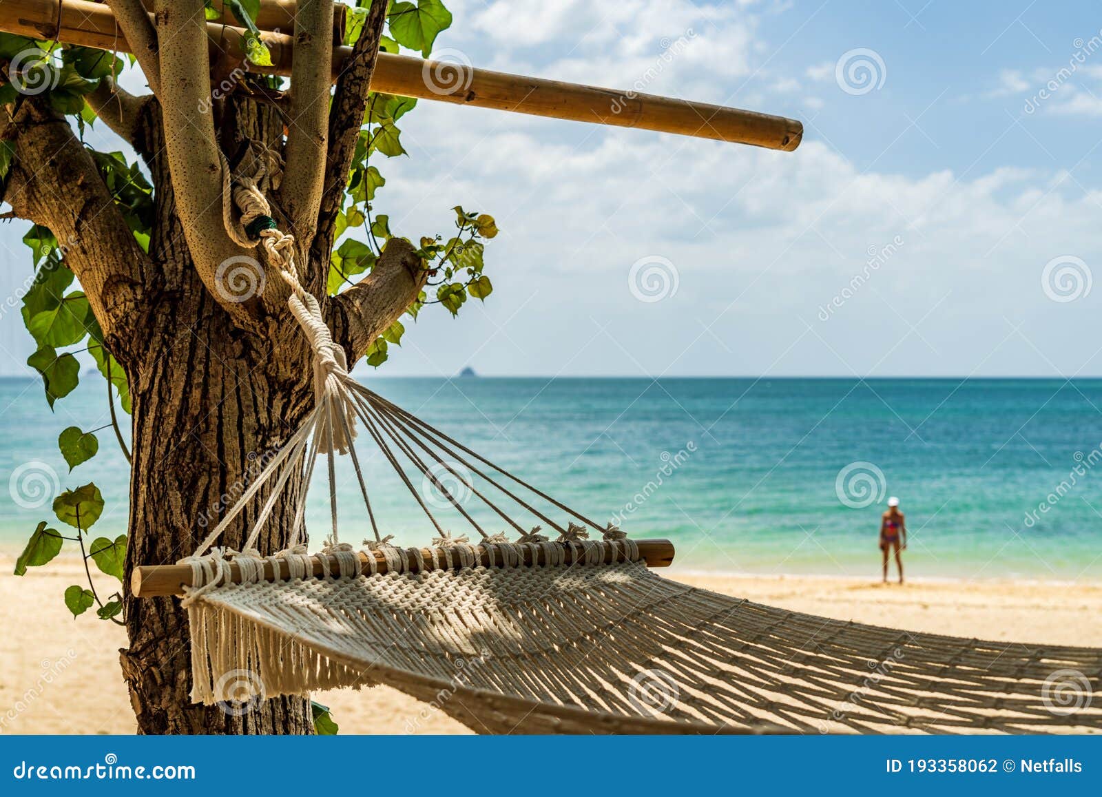 Hammock at the Tropical Beach Stock Photo Image of sand, relaxation