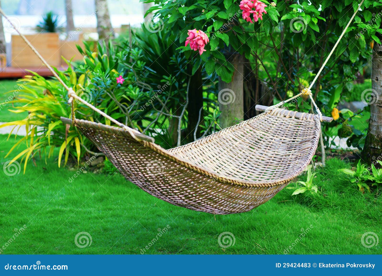 Hammock in a Tropical Garden Stock Image Image of island, hammock