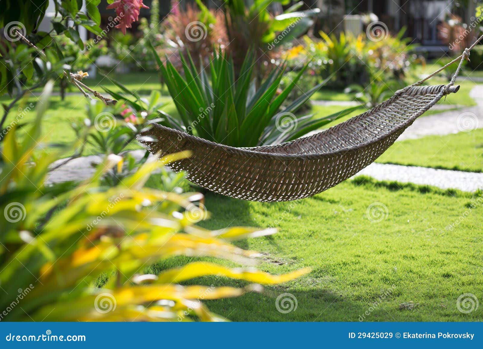 Hammock on a Tropical Resort Stock Image Image of tropic, tree 29425029