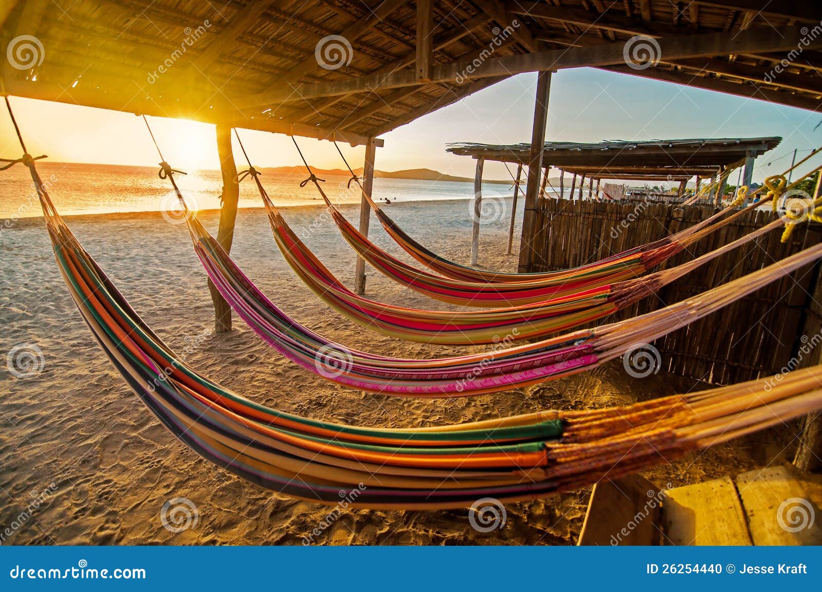 hammocks