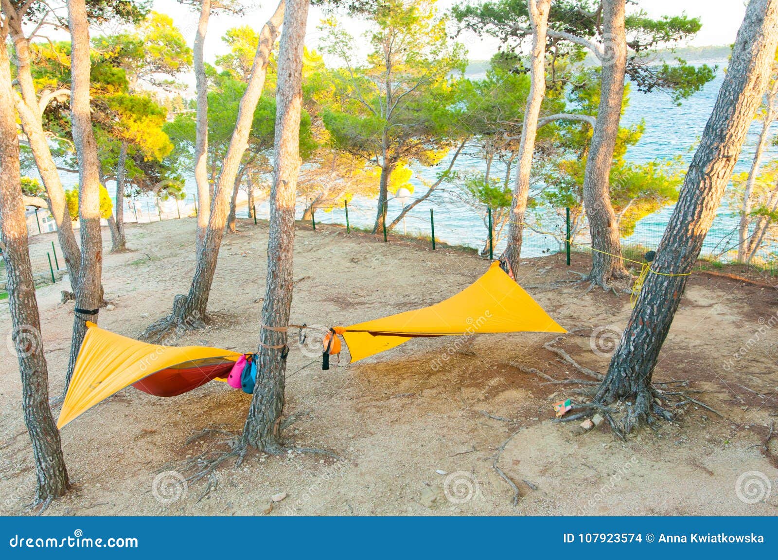 Hammocks Suspended on the Tree, Camping by the Lake Stock Photo Image of holidays, hammocks