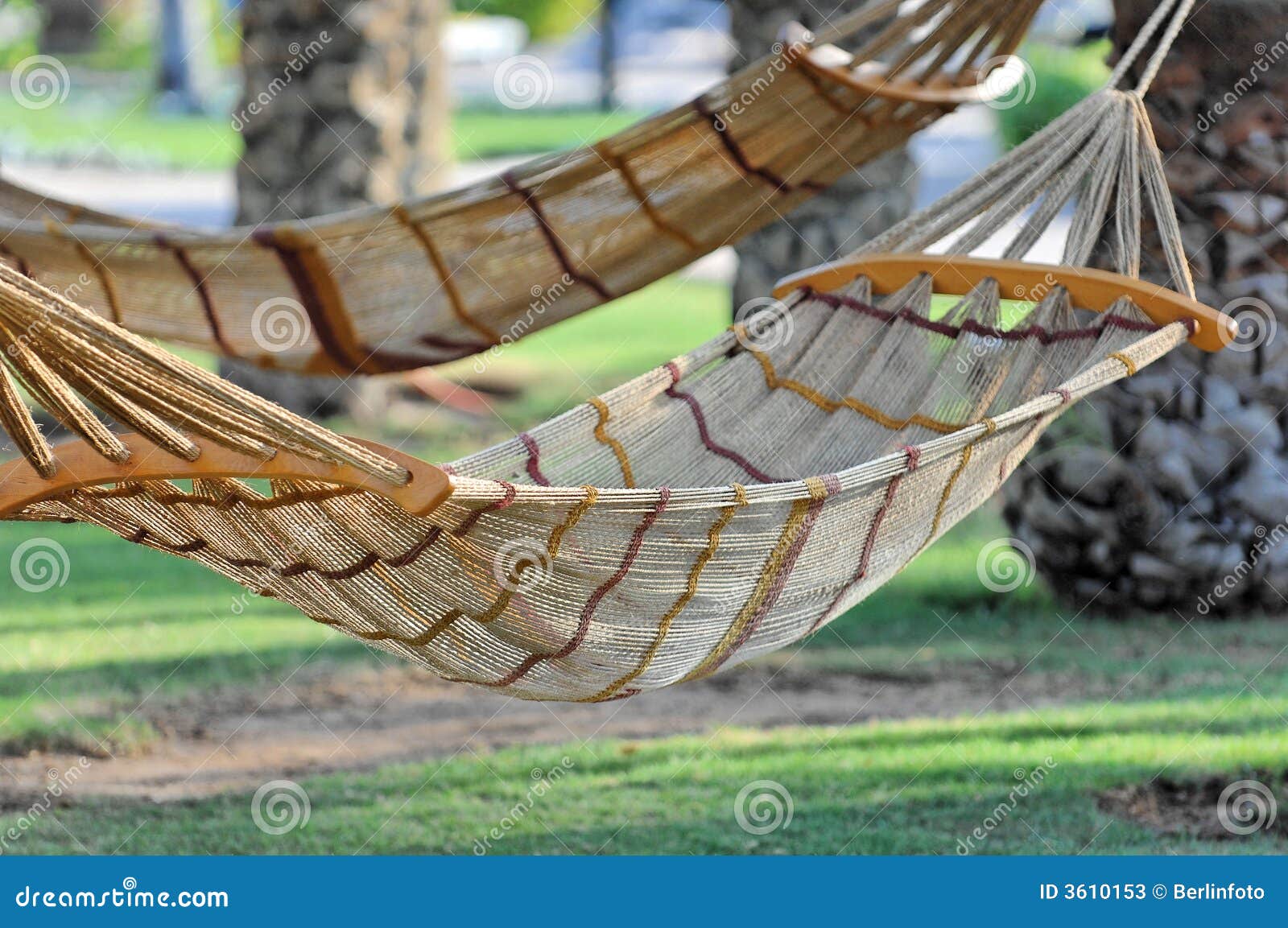 hammocks tied to trees