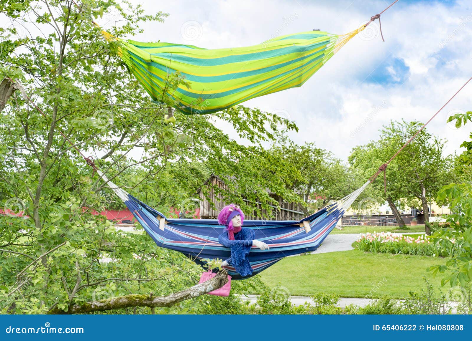 hammocks between trees