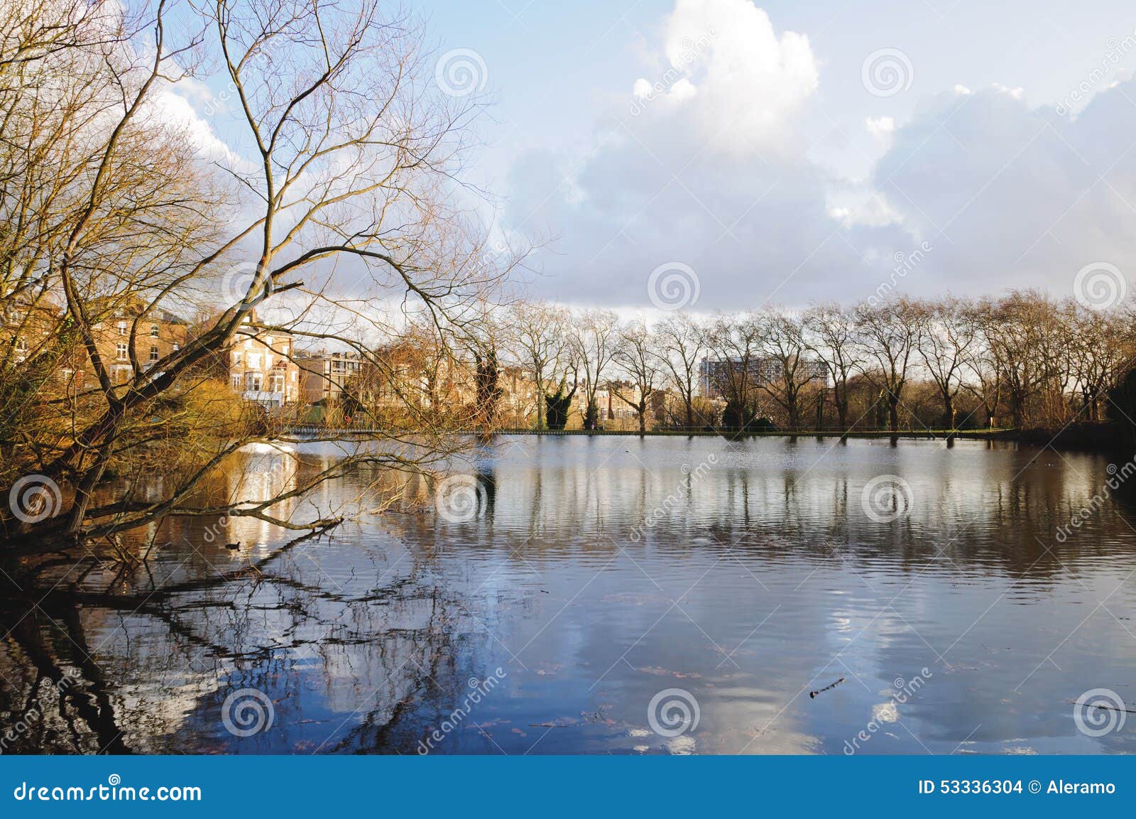 Hampstead Heath park stock photo. Image of hampstead 53336304