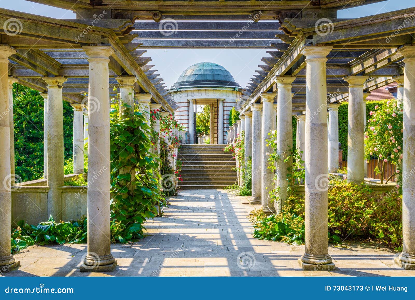 Hampstead Pergola and Hill Garden Stock Image - Image of path, corridor ...