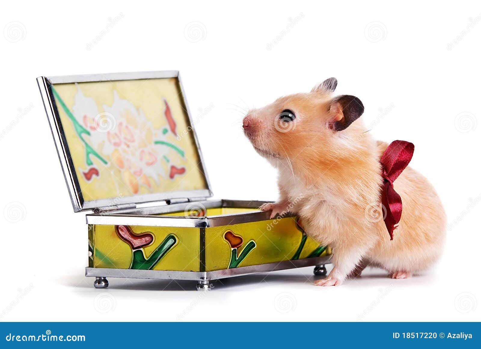 Hamster, gift stock photo. Image of decoration, fluffy 18517220