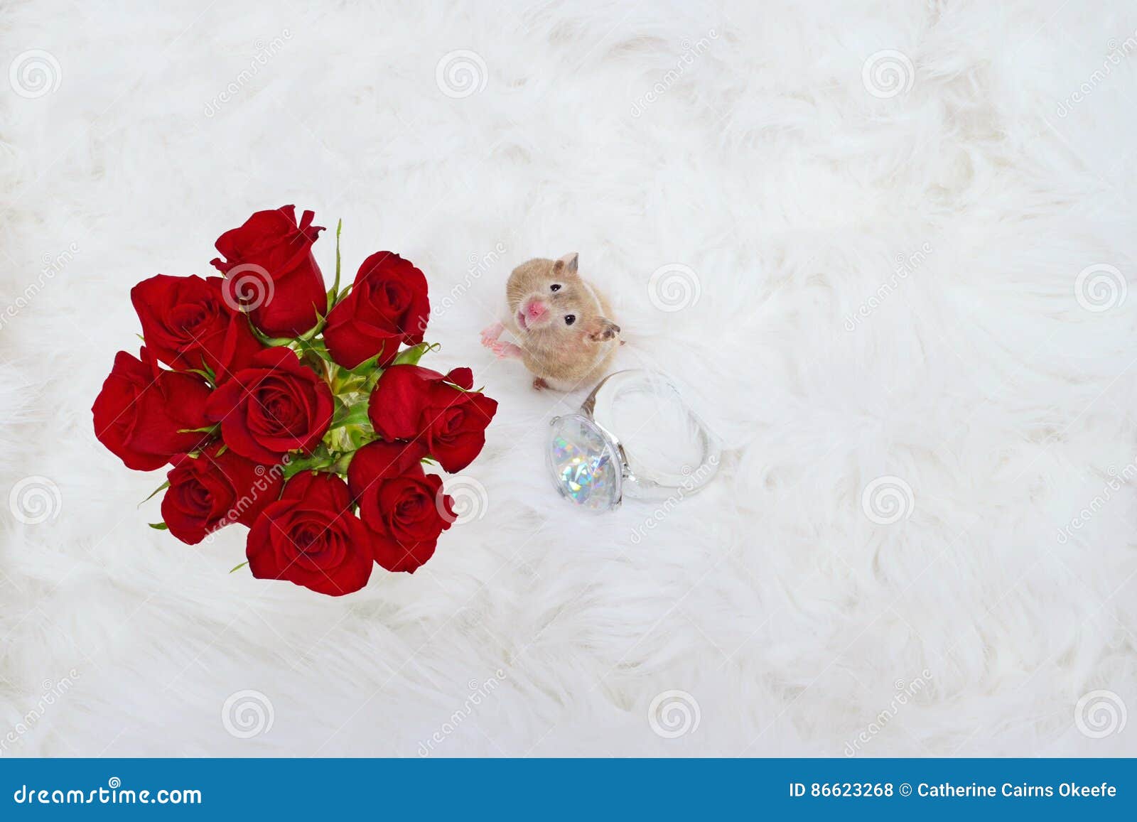 Hamster with Roses and Giant Ring Stock Photo Image of valentines
