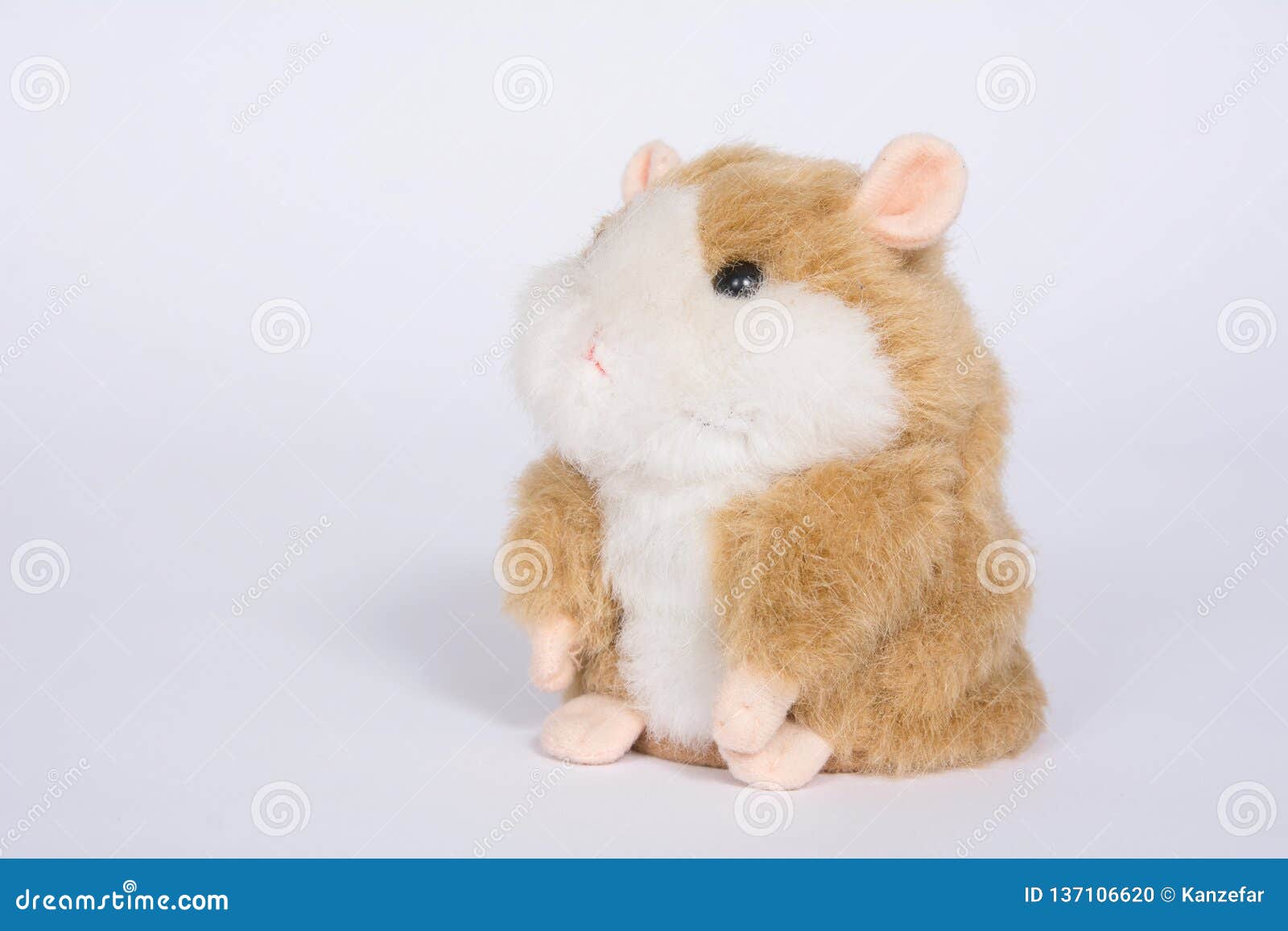 Brown Teddy Bear Hamsters