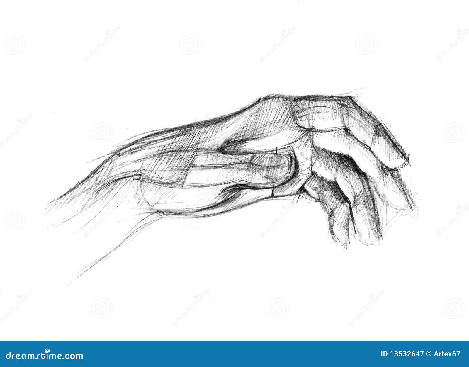 Hand stock illustration. Illustration of hand, organ - 13532647