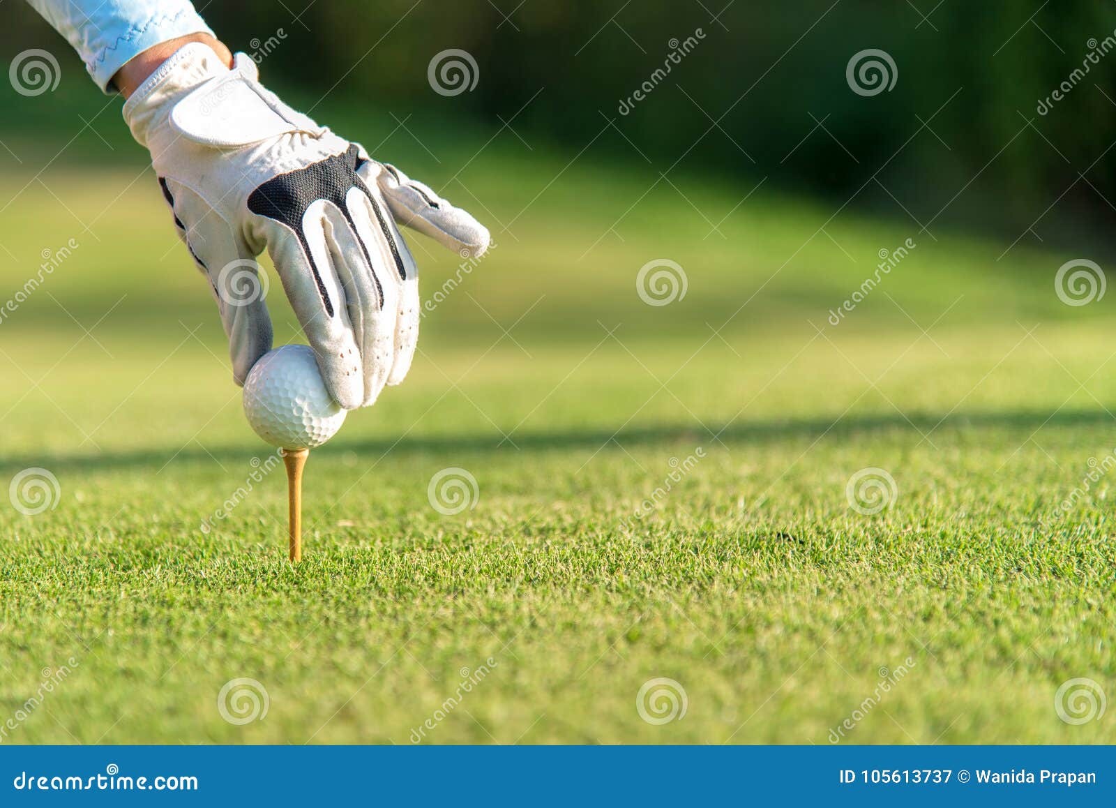 hand asian woman putting golf ball on tee with club in golf course on sunny day for healthy sport.