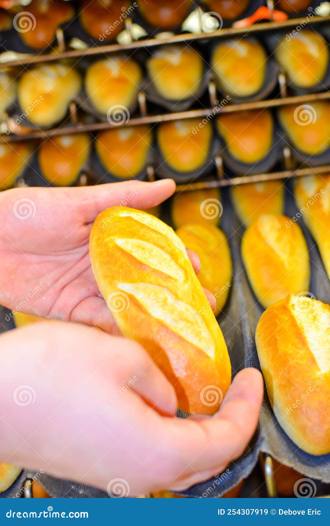 Hand of Baker or Apprentice Baker Taking Out the Milk Breads from the