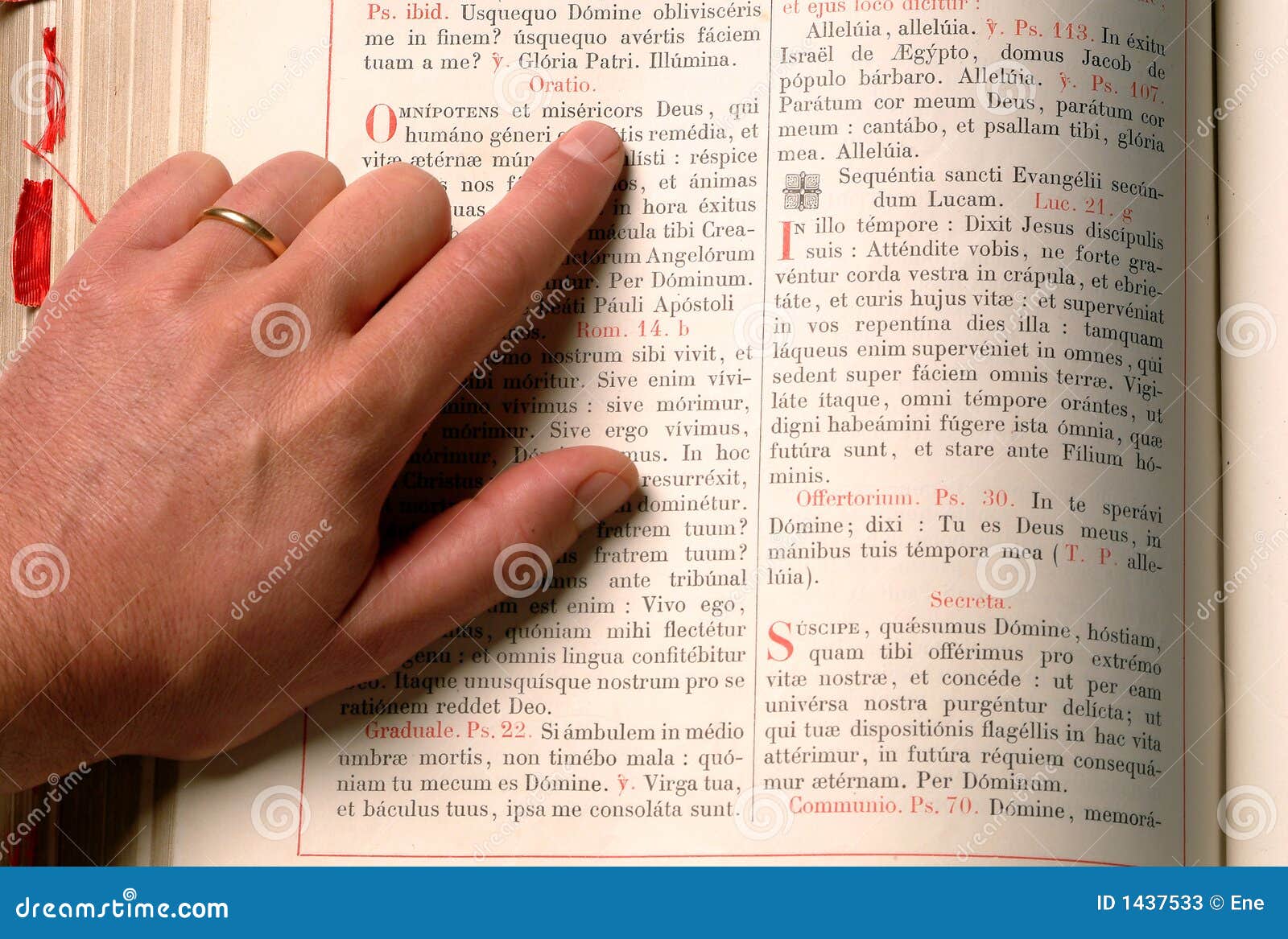 Hand And Bible Stock Photos Image 1437533