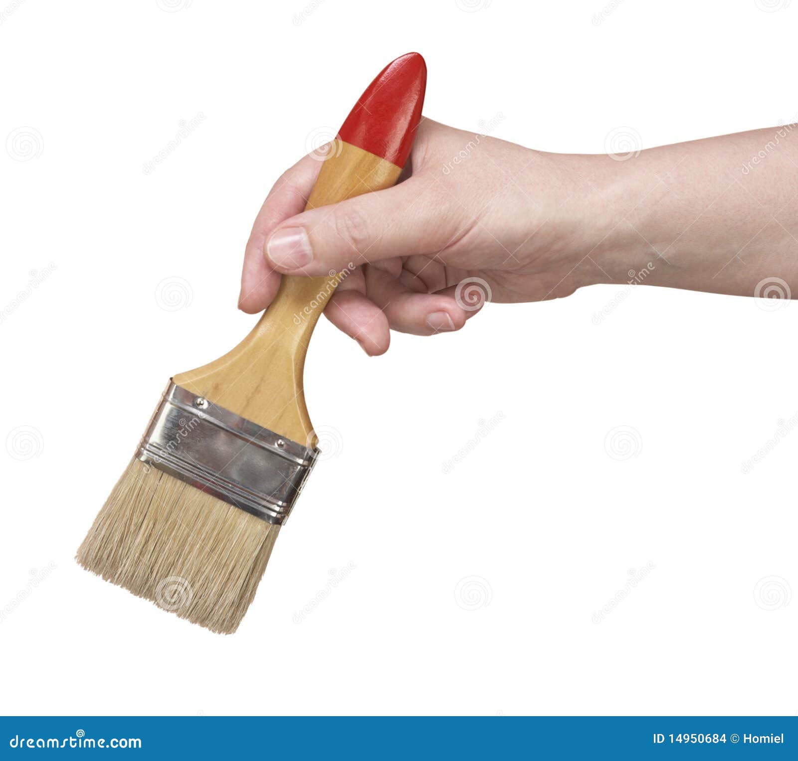 Hand with brush stock photo. Image of brush, renovator 14950684