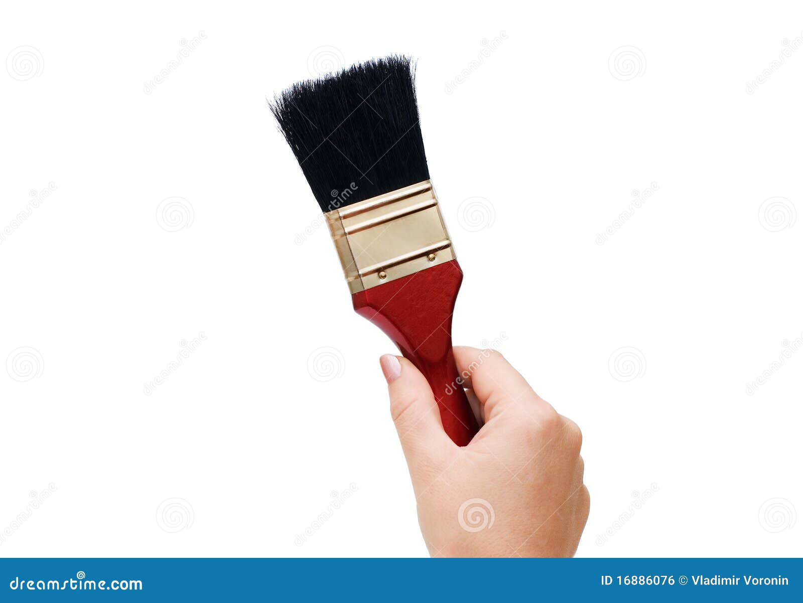 Hand with brush stock photo. Image of tool, designer 16886076