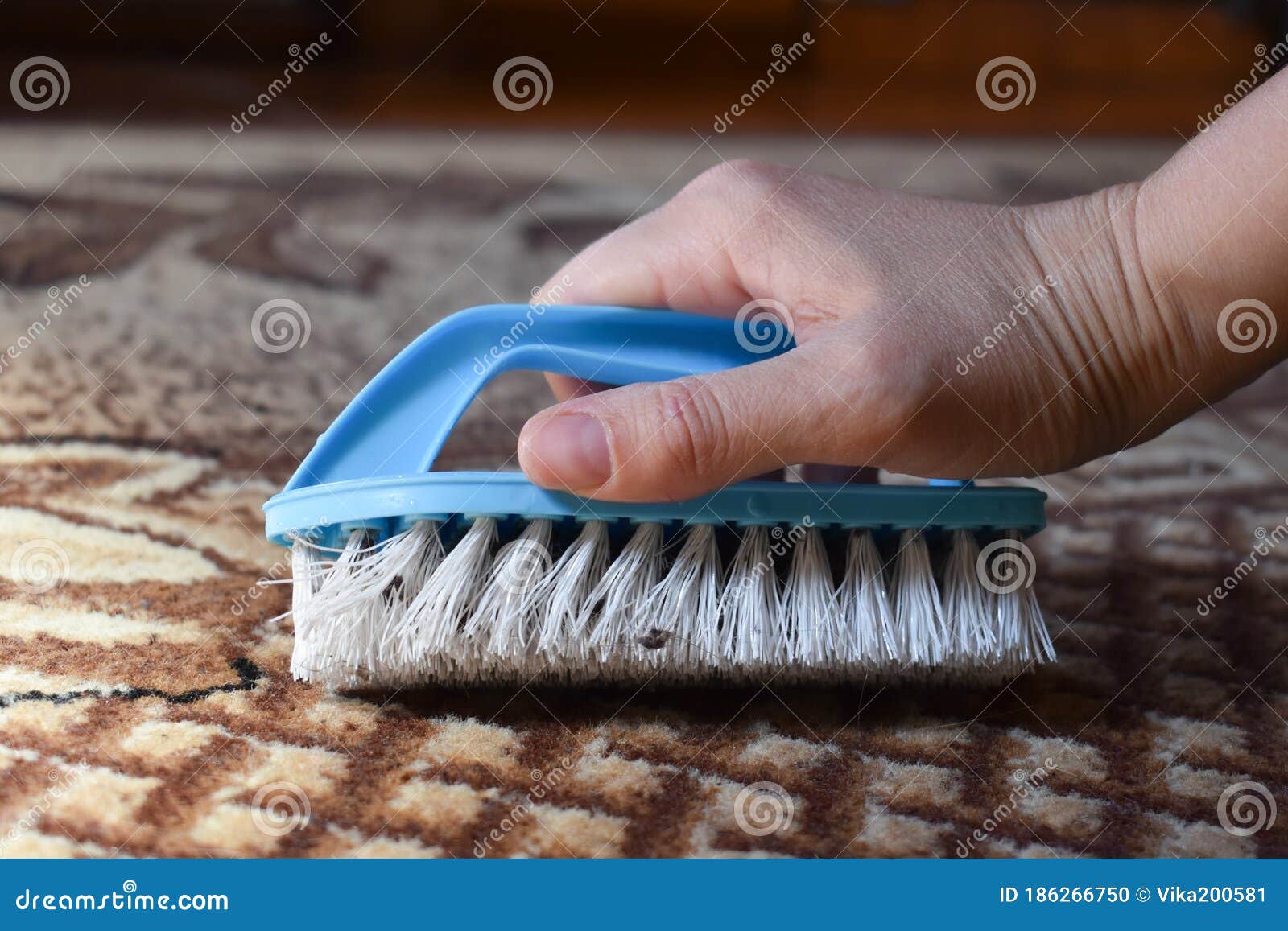 Hand Brush for the Floor Carpet. a Female Hand Cleans a Rug from Debris.  Stock Photo - Image of carpet, home: 186266750