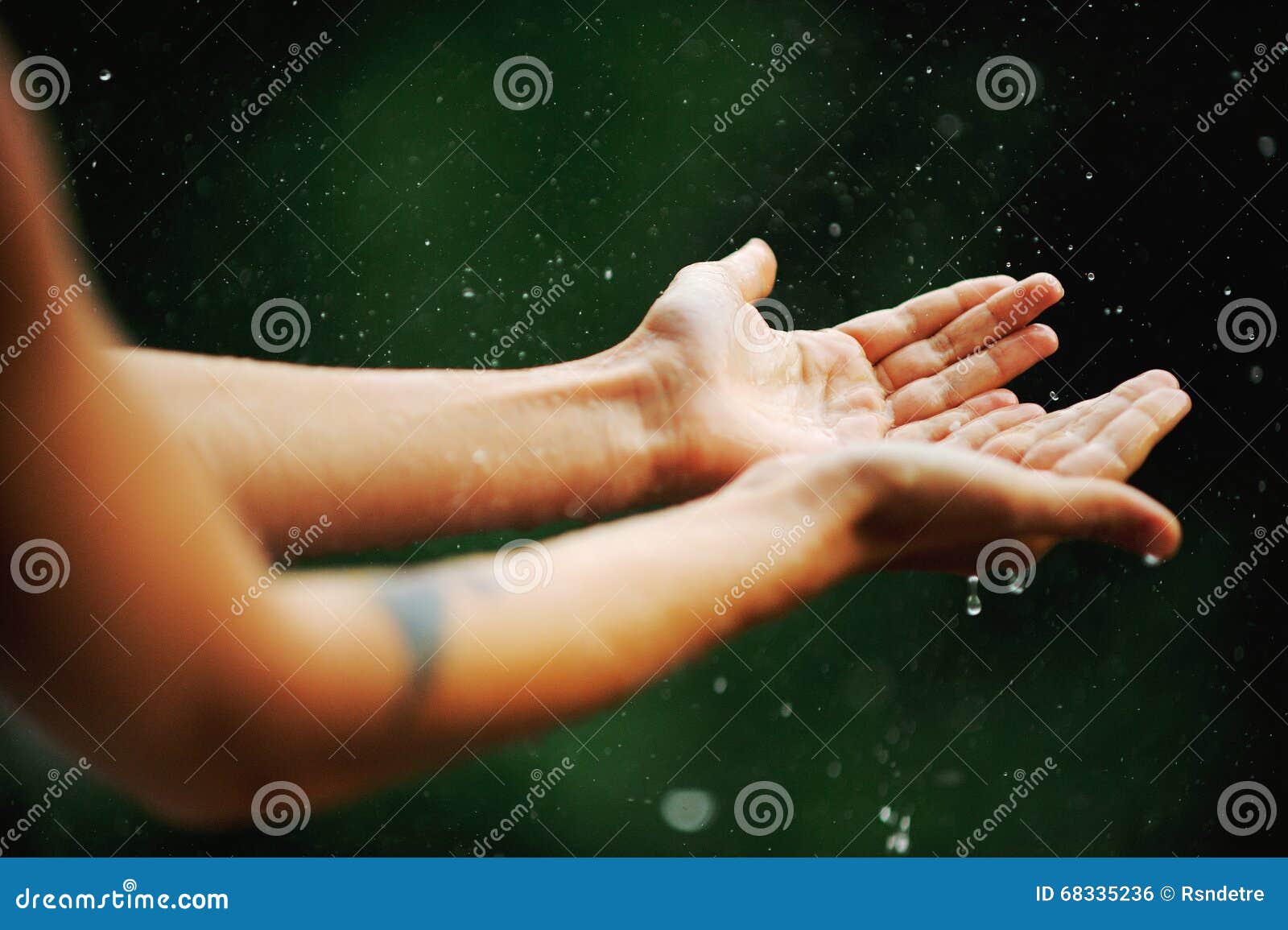 Hand catching rain drops stock photo. Image of freshness 68335236