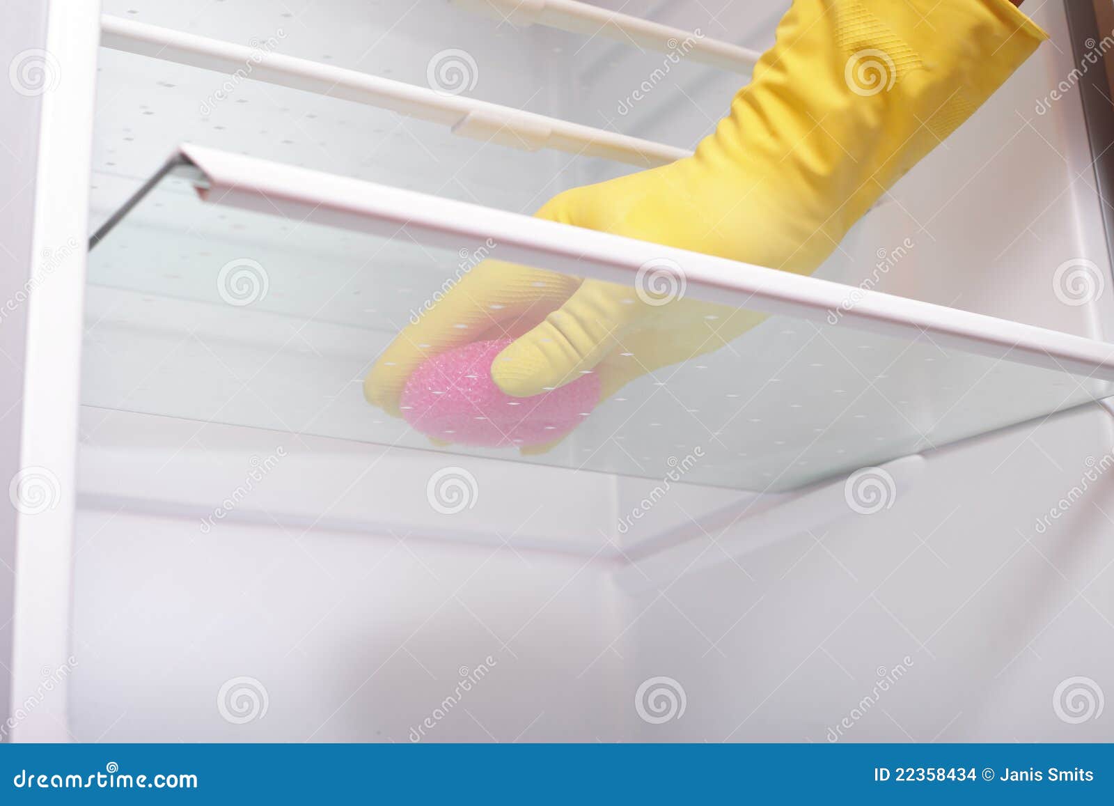 Hand Cleaning Refrigerator. Stock Photo Image of housewife, female
