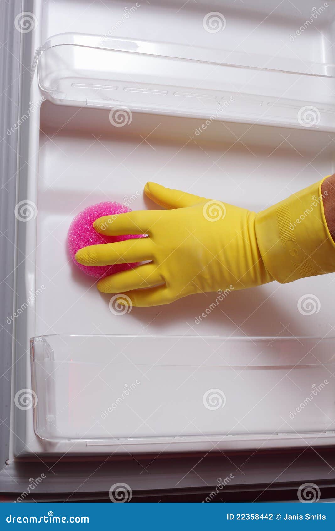 Hand Cleaning Refrigerator. Stock Photo Image of fridge, plastic
