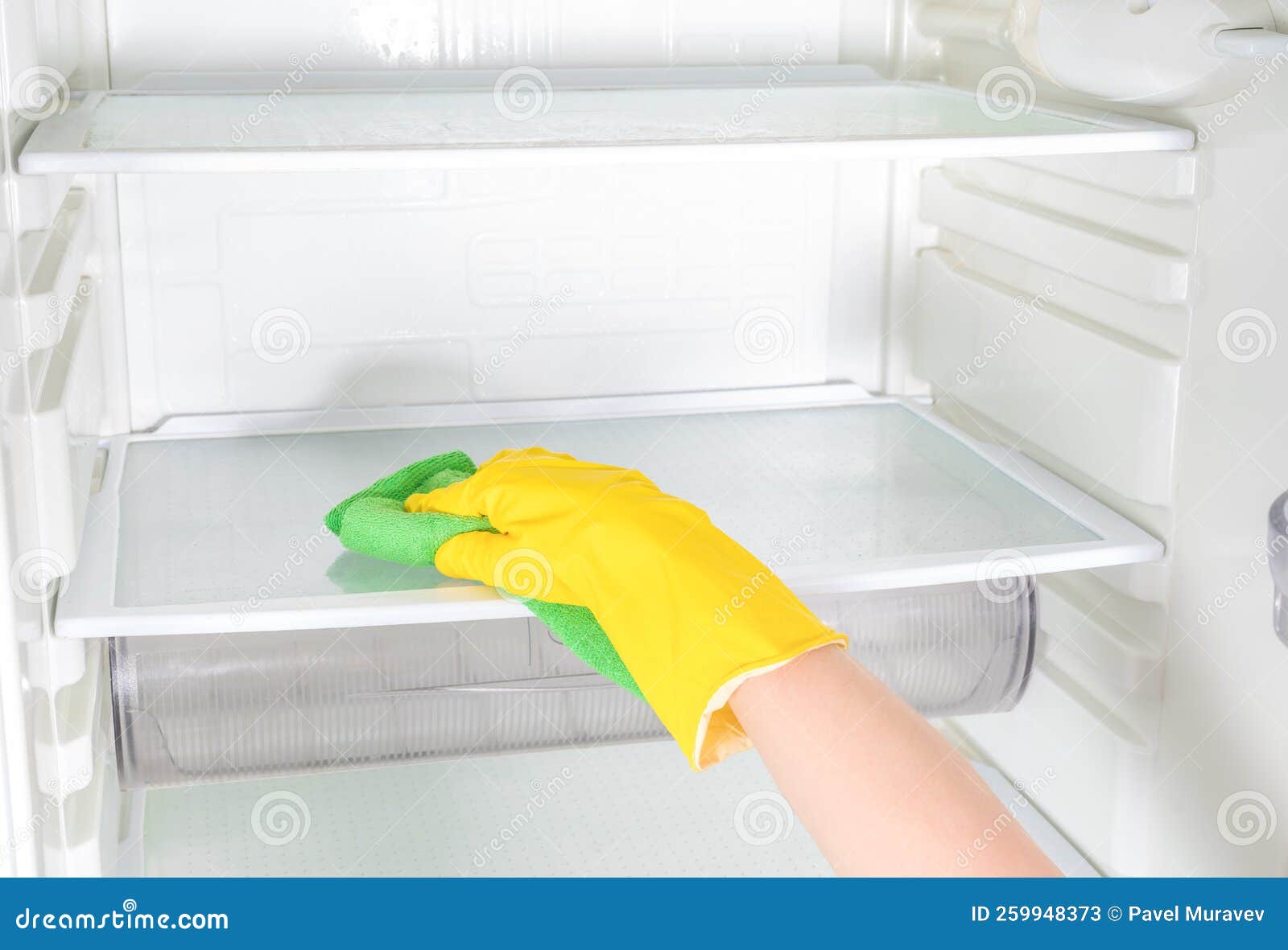 Fridge Cleaning Services