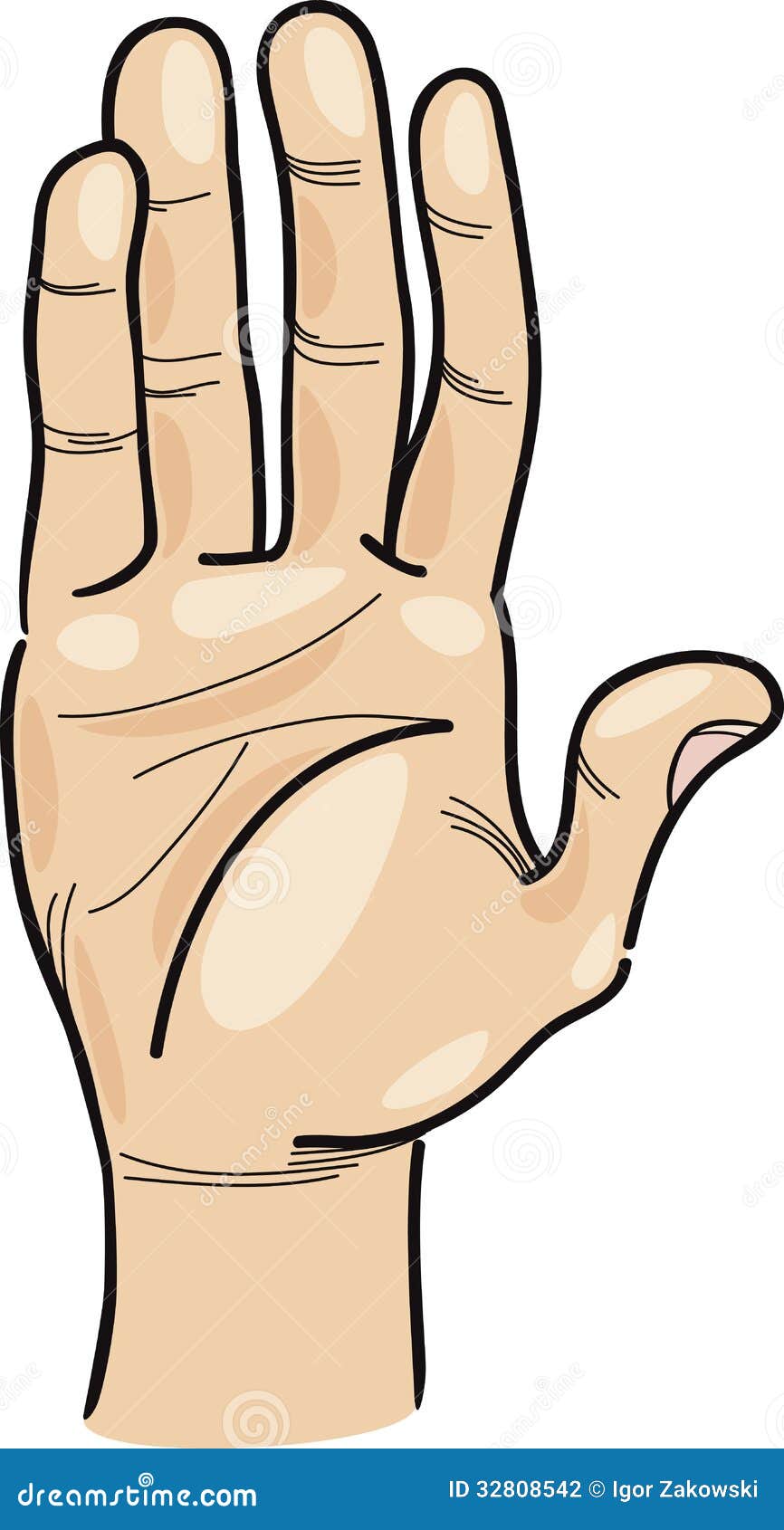 Hand Clip Art Cartoon Illustration Stock Photography  Image: 32808542