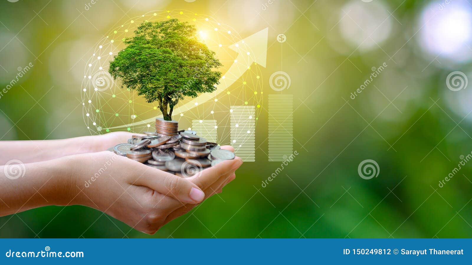 hand coin tree the tree grows on the pile. saving money for the future. investment ideas and business growth. green background