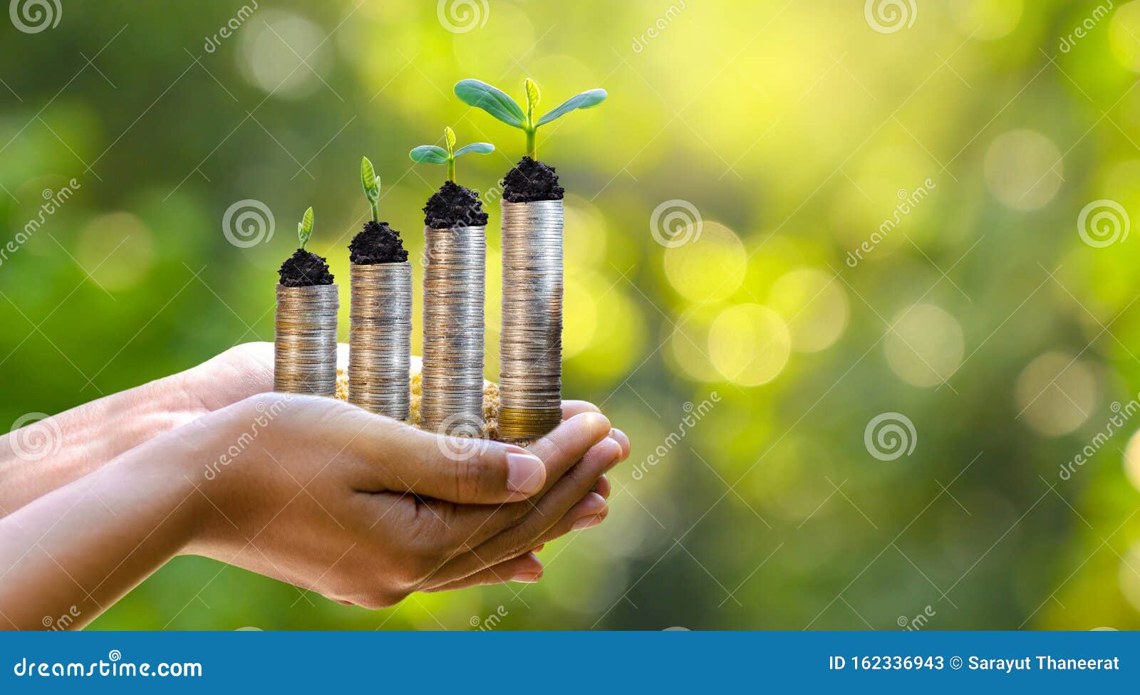 hand coin tree the tree grows on the pile. saving money for the future. investment ideas and business growth. green background