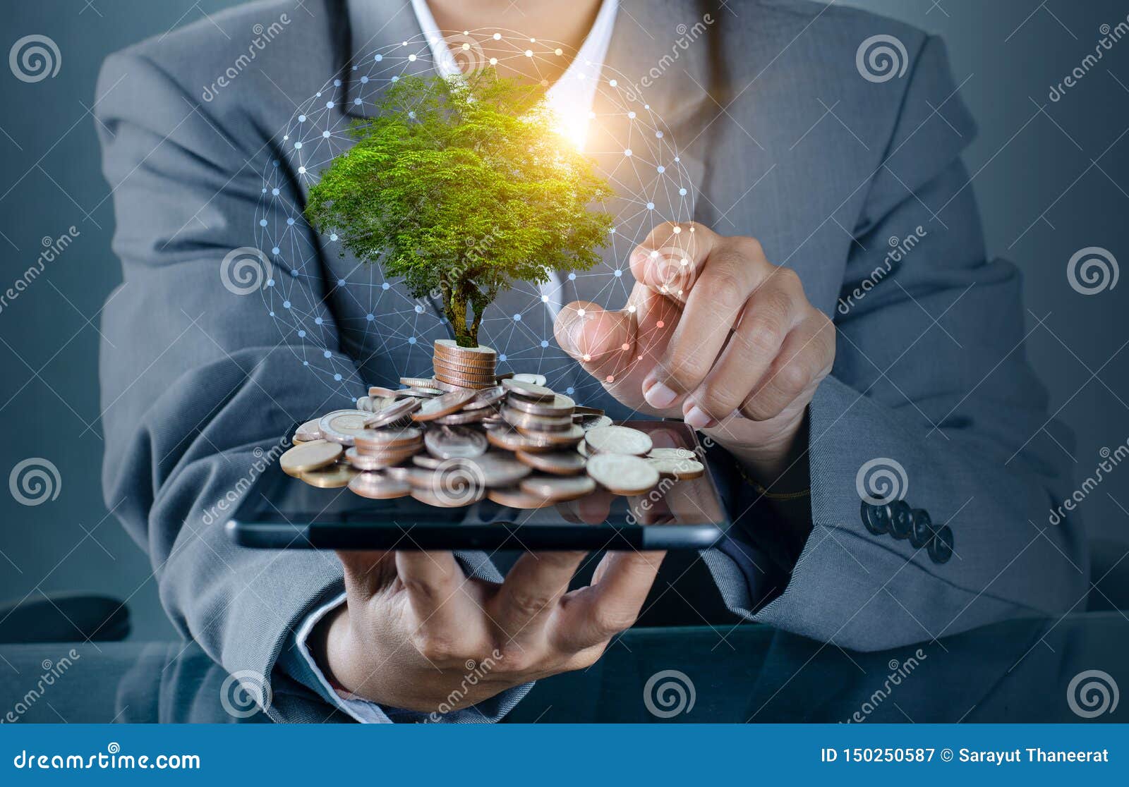 hand coin tree the tree grows on the pile. saving money for the future. investment ideas and business growth background with bokeh