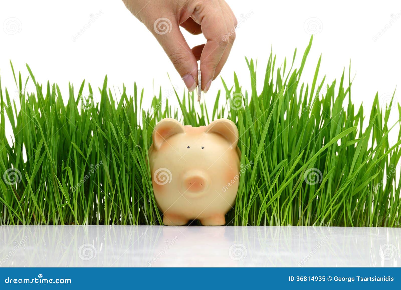 hand deposit money in piggy bank