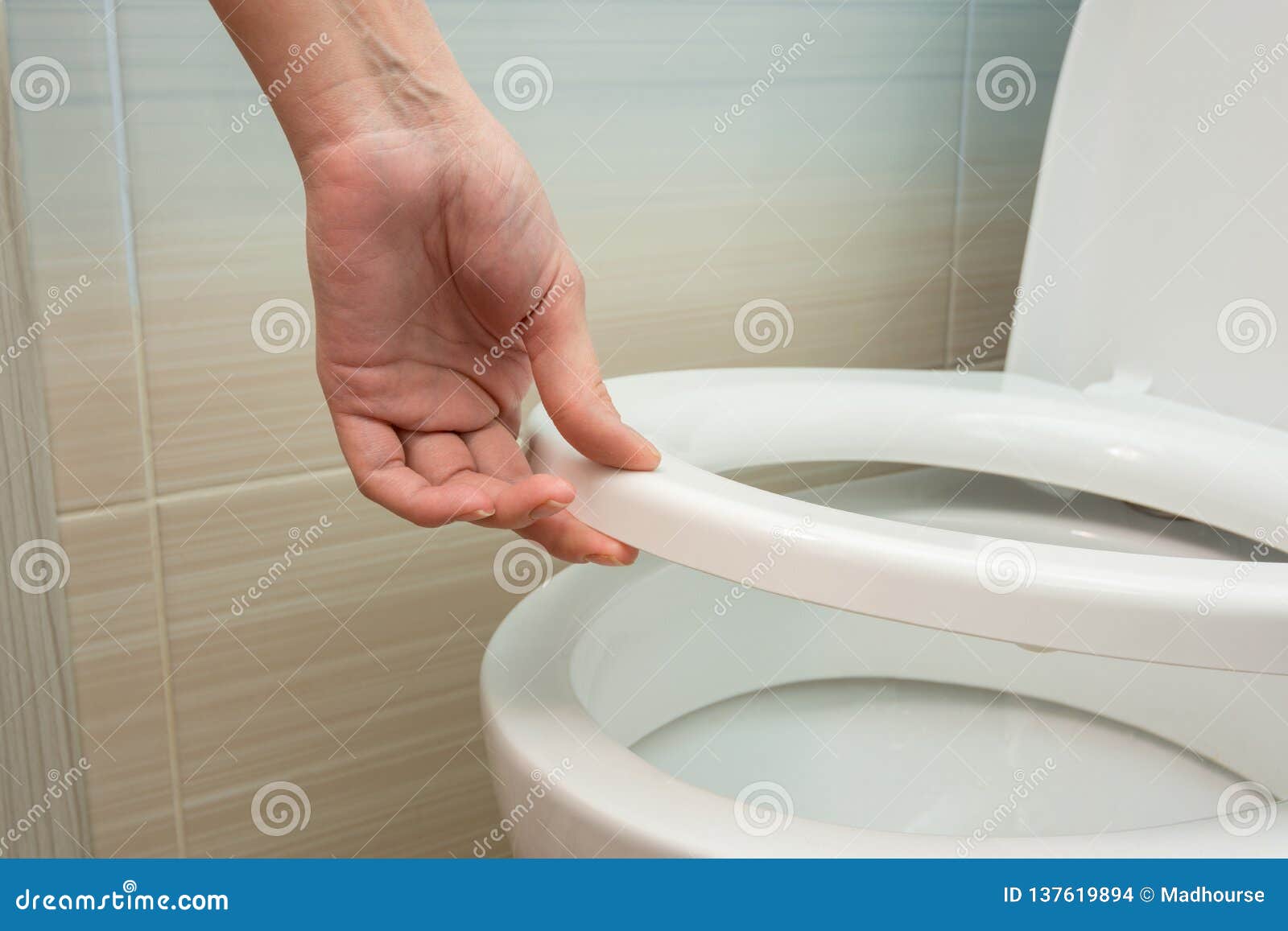 Cleaning Wiping Toilet Seat Stock Photo - Download Image 