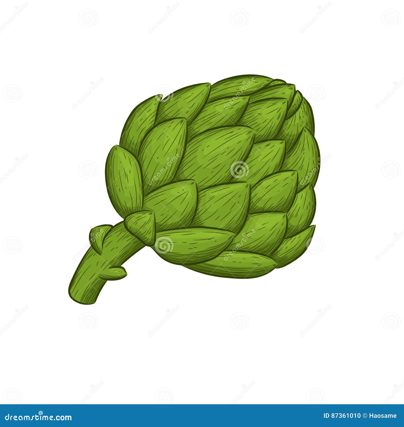 Hand draw artichoke stock vector. Illustration of agriculture 87361010