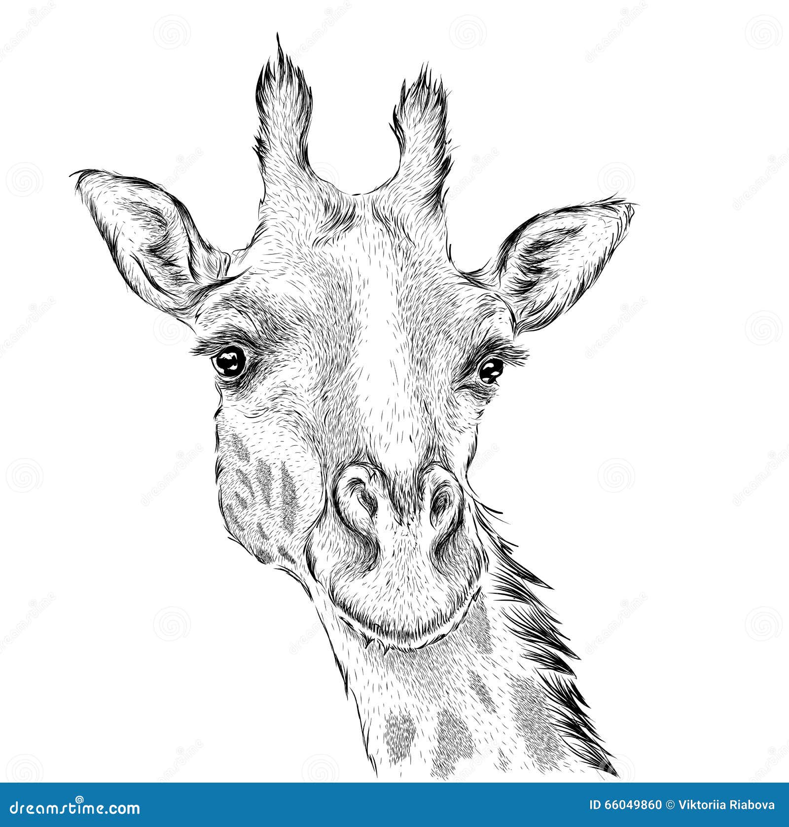 My Image 14