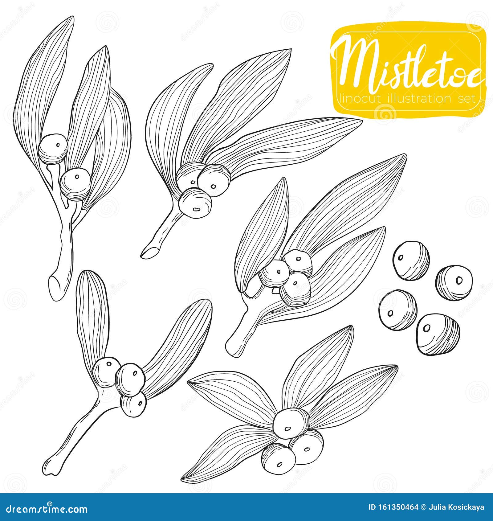 18+ Mistletoe Drawing Outline