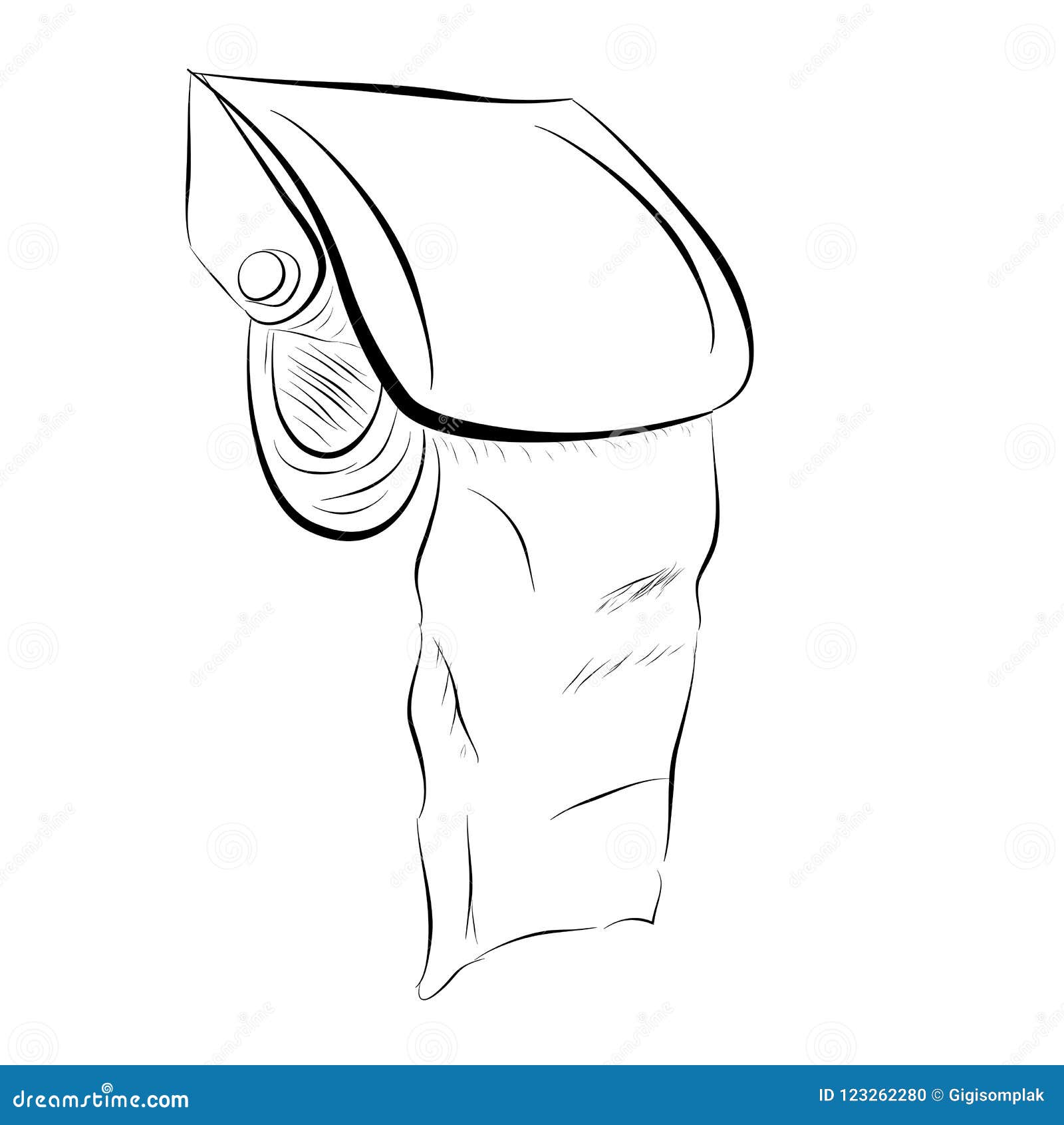 Hand Draw Sketch of Roll Toilet Tissue Paper Stock Vector