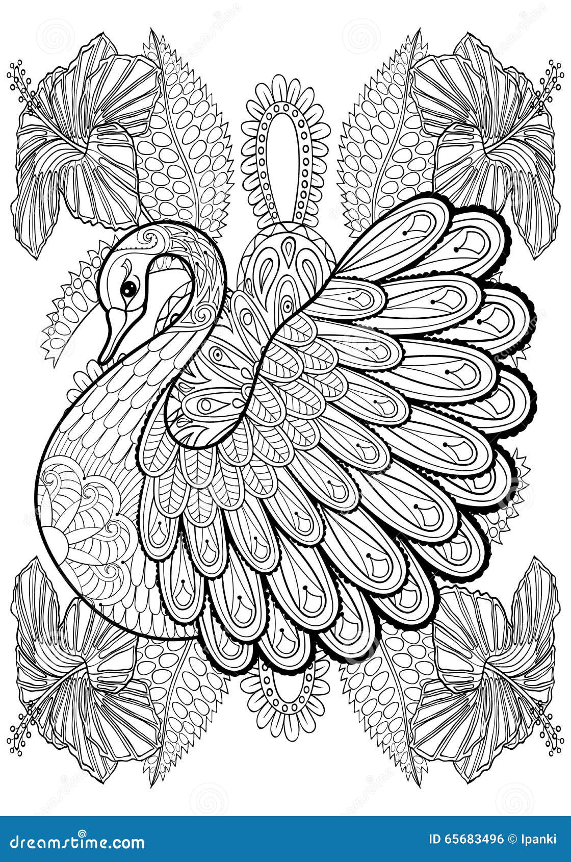 Hand Drawing Artistic Swan In Flowers For Adult Coloring Pages Stock