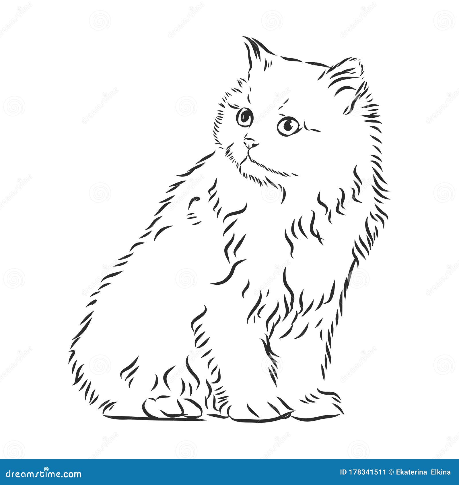 How To Draw A Cat For Beginners [Video Tutorial]