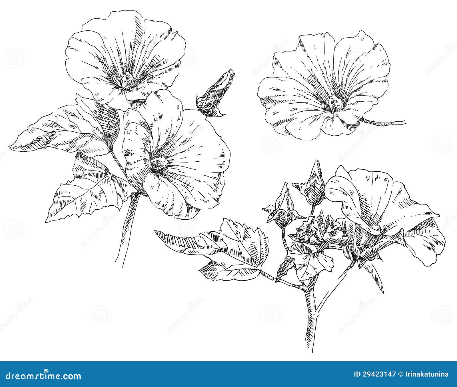 Hand drawing flower stock vector. Illustration of brown - 29423147