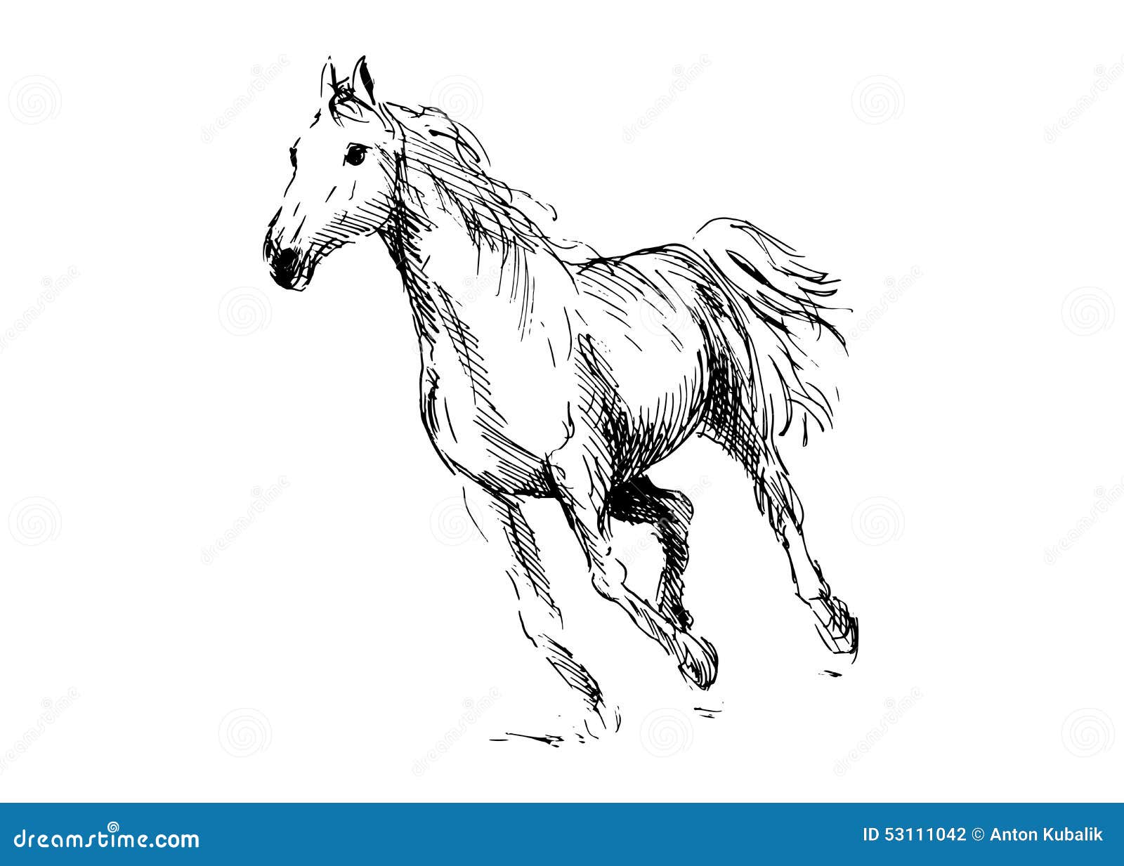 Hand drawing horse stock vector. Illustration of motion 53111042