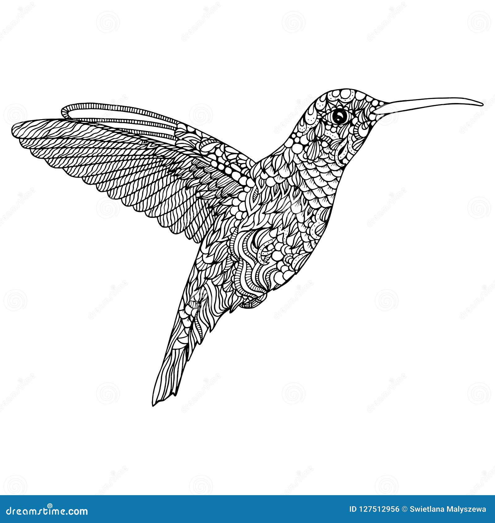 Download Hummingbird Coloring Page Stock Illustration Illustration Of Drawing 127512956