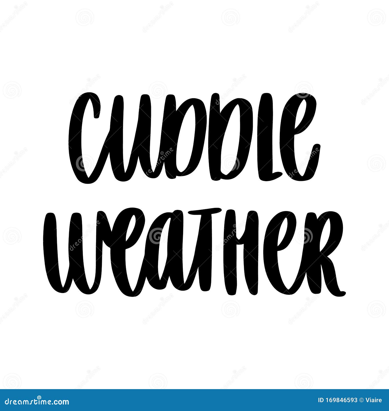 the hand-drawing inspirational quote: cuddle weather, in a trendy calligraphic style.