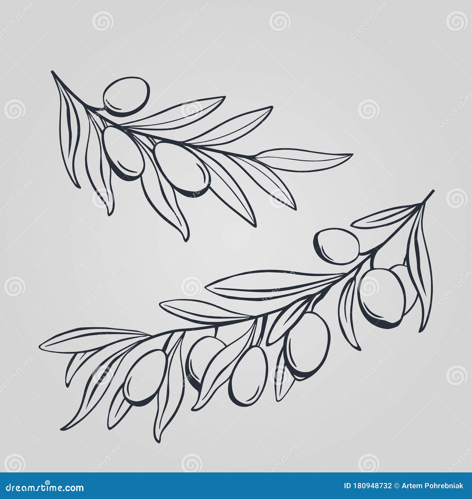 Olive branch vector in doodle sketch style  Stock Illustration  85424463  PIXTA