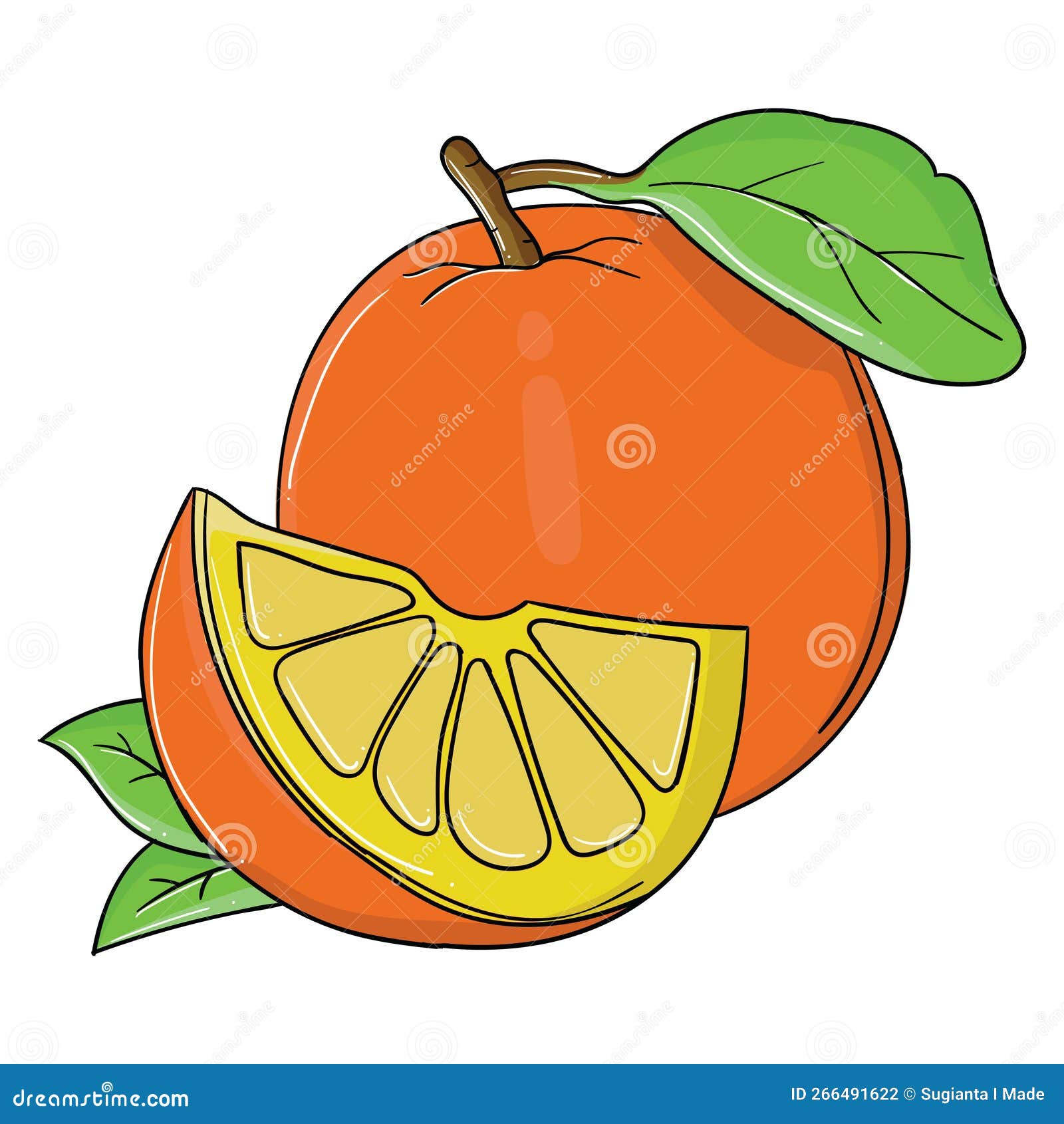 hand drawing orange