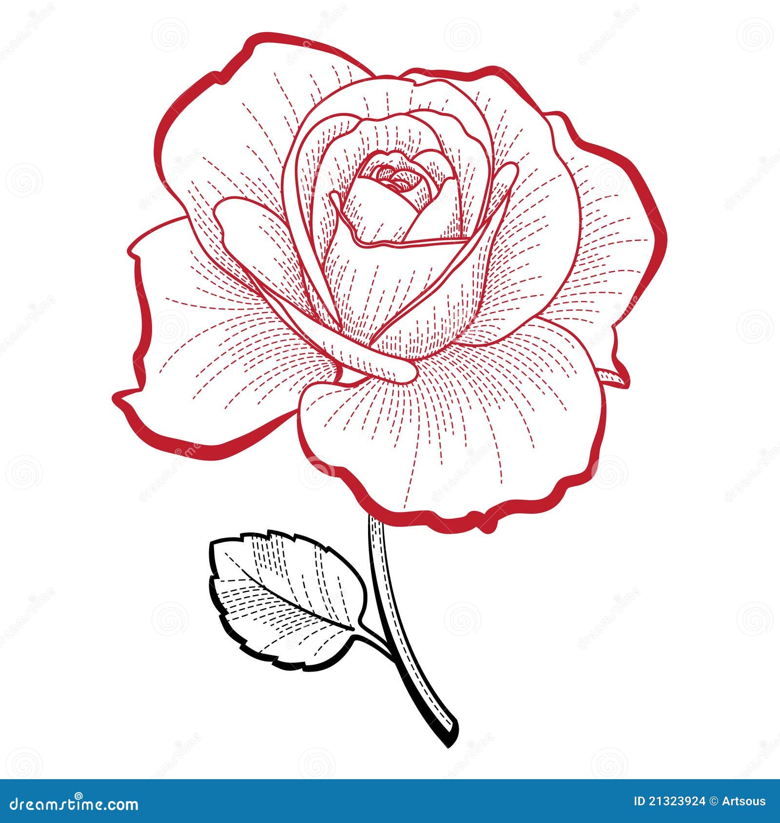 Hand drawing rose stock vector. Illustration of graphics - 21323924