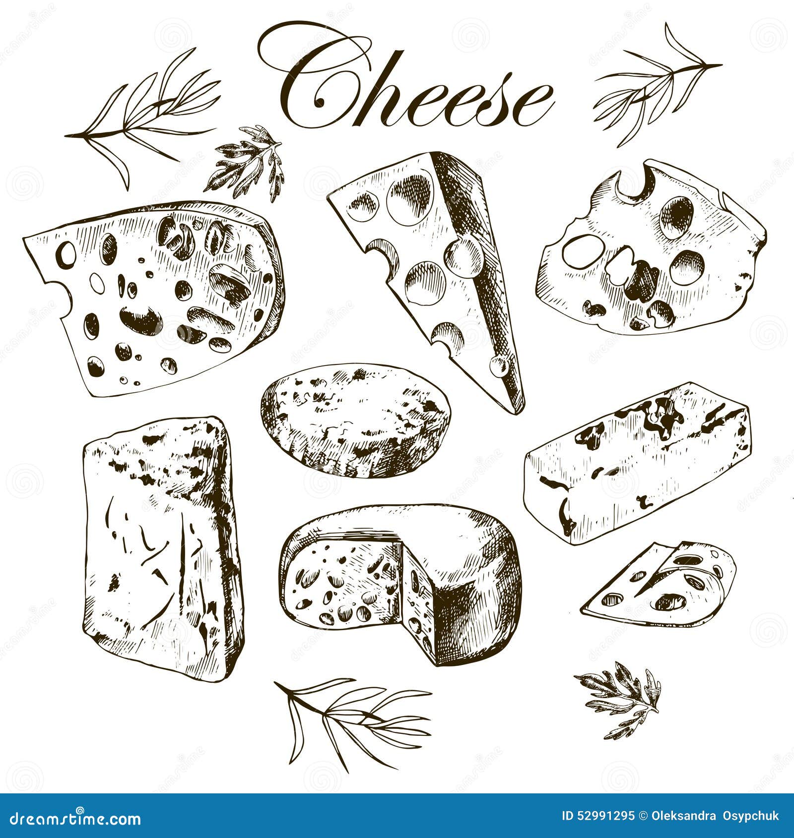 Hand Drawing Set with Different Cheeses Stock Vector Illustration of