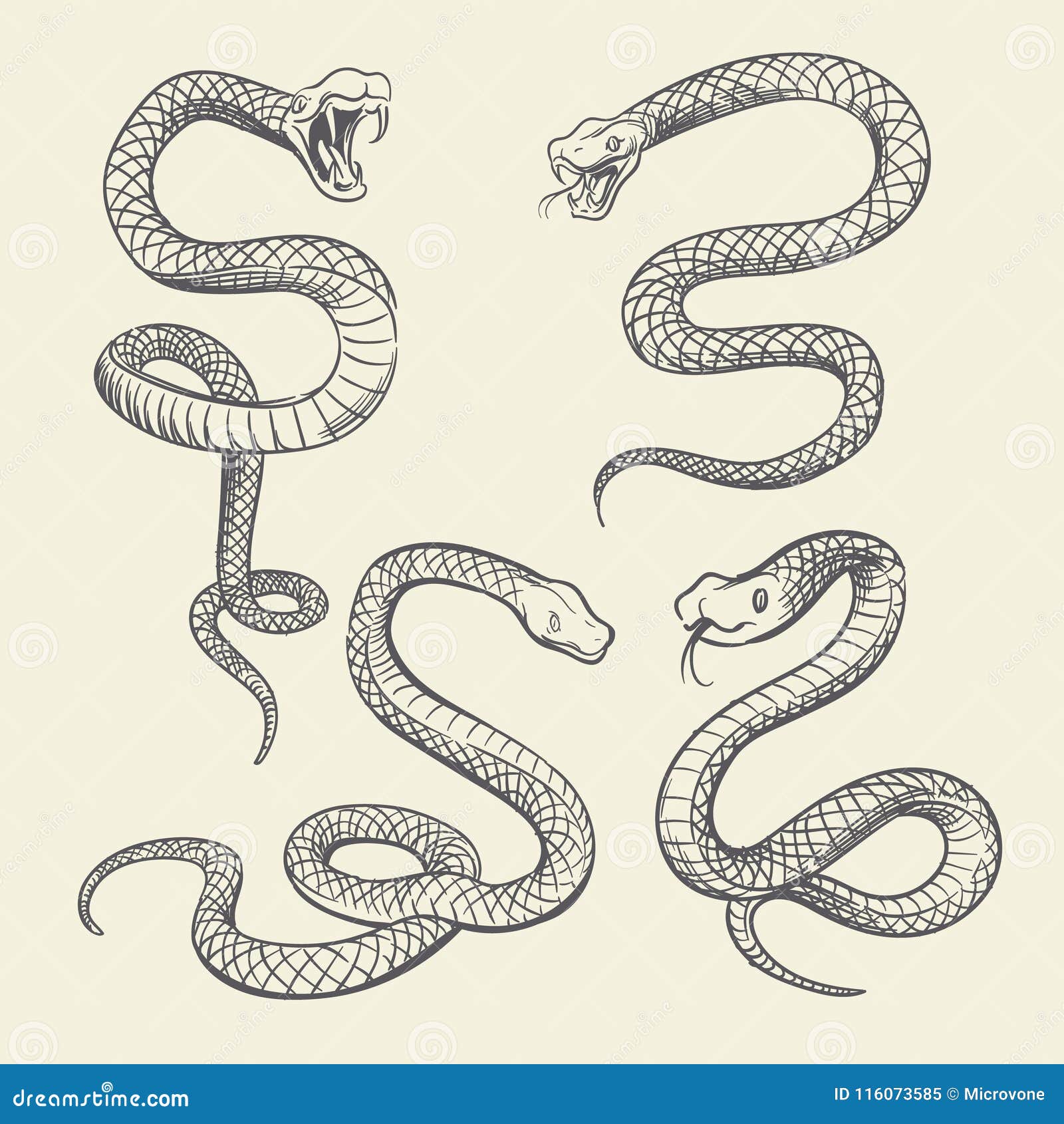 Share 80 snake tattoo drawing latest  thtantai2