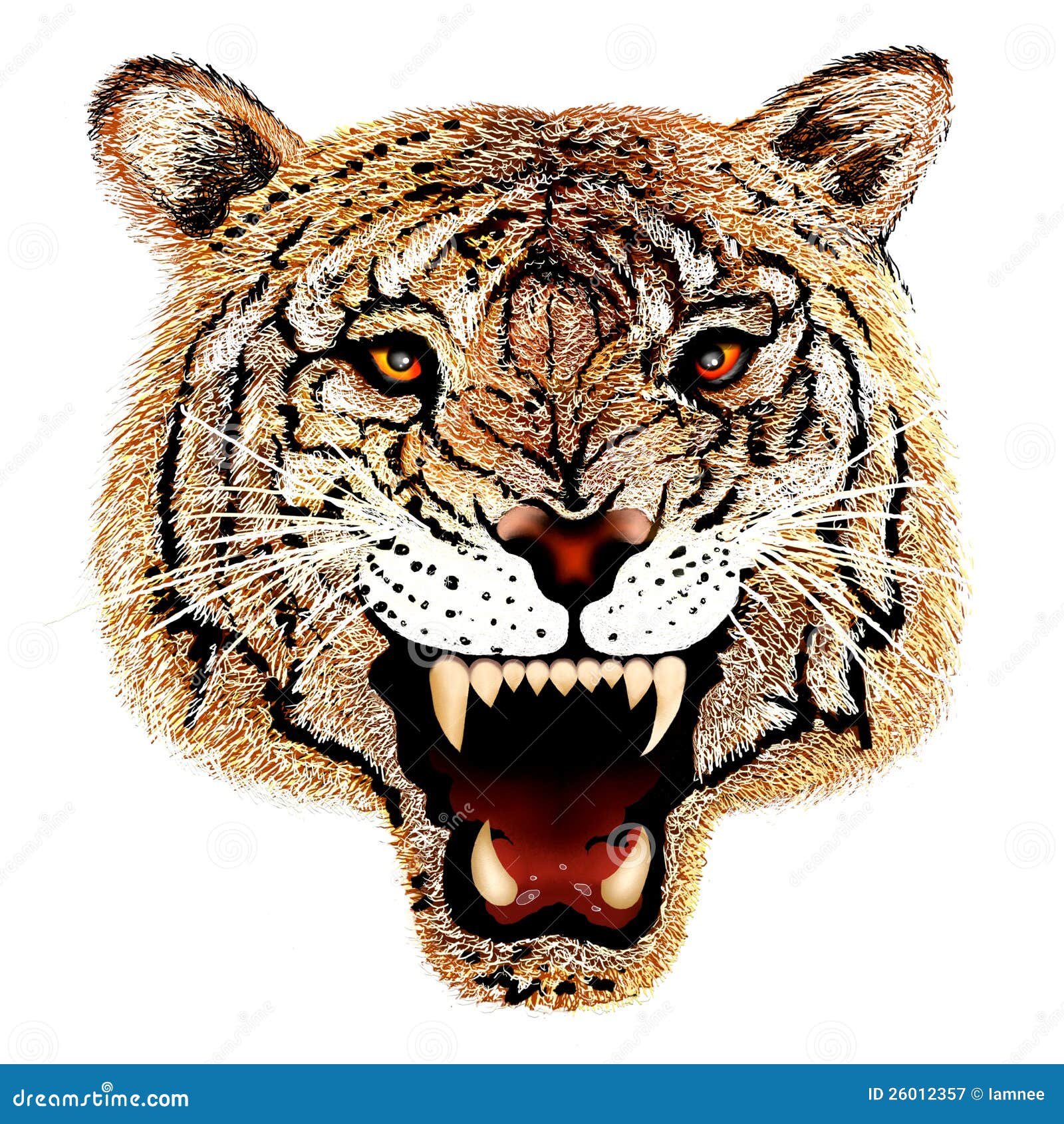 Hand Drawing Of Tiger Head Portrait Royalty Free Stock 