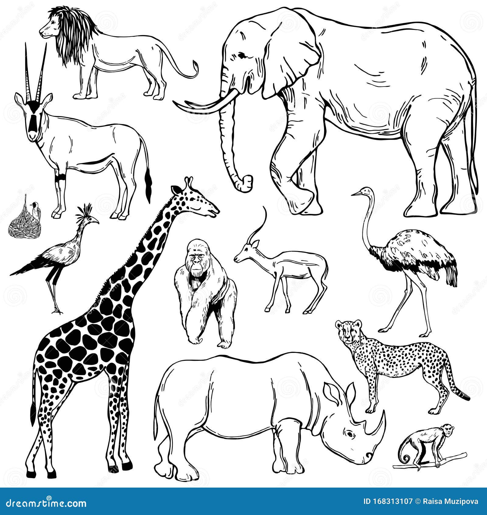 African Animals and Birds. Vector Sketch Illustration Stock Vector -  Illustration of fauna, lifestyle: 168313107