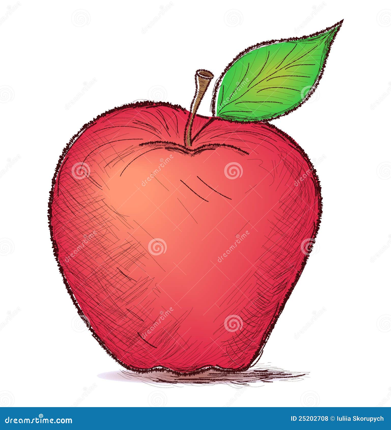 Hand drawn apple stock illustration. Illustration of artwork 25202708