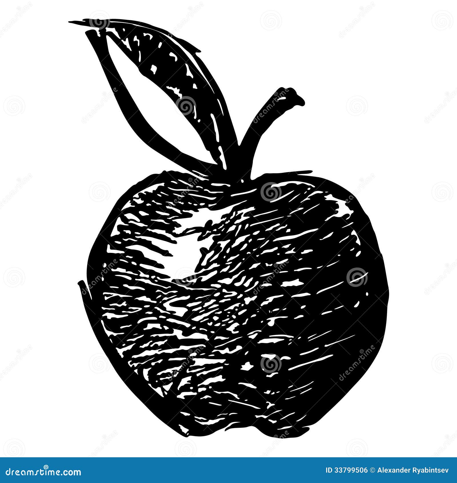 Hand drawn apple stock illustration. Illustration of round 33799506